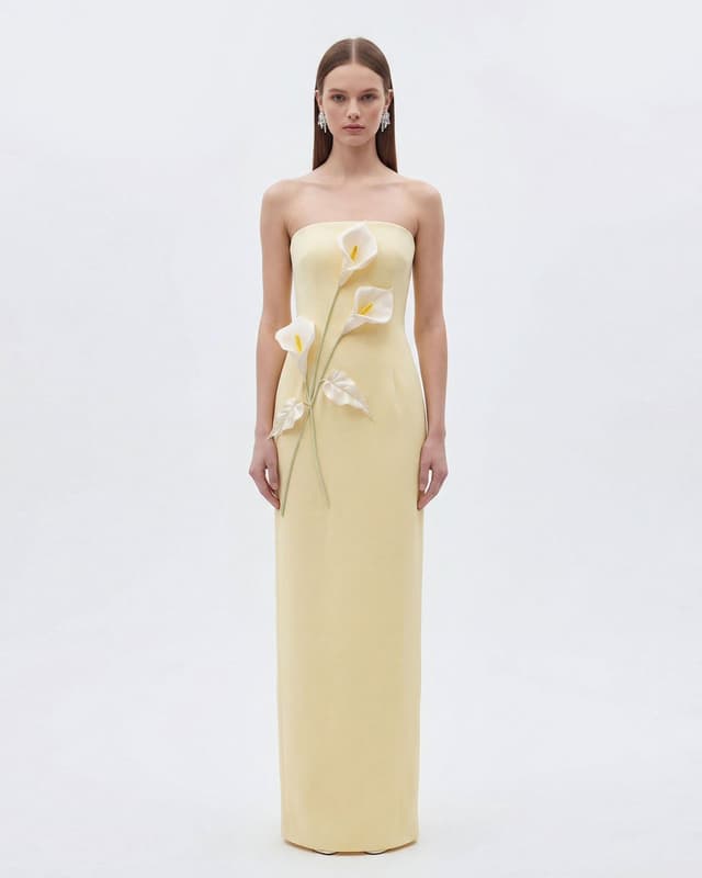 Floral Aplique stapless dress